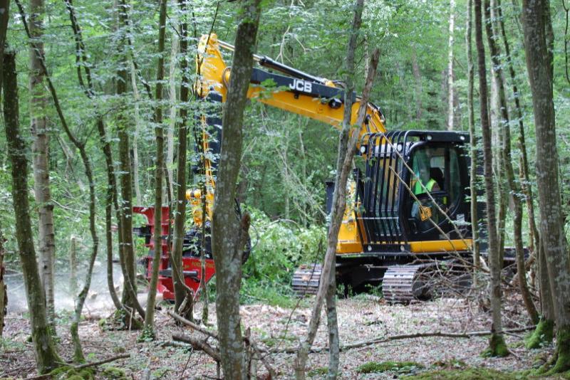 Le bois-énergie issu de forêts : les plaquettes forestières